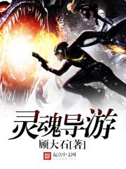 灵魂导游61章
