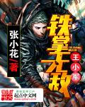 铁掌无敌王小军百度云