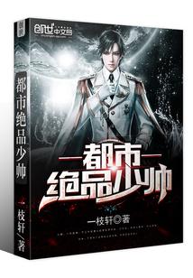 都市绝品少帅