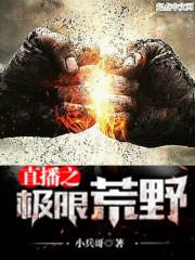 直播之荒野 小说