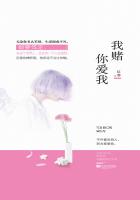 我赌你爱我小说经典语录