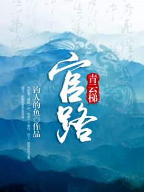 官路青云梯小说免费读