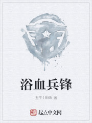 浴血兵锋电视剧