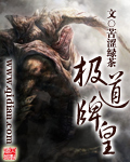 极道神皇小说