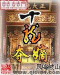 十龙夺嫡TXT