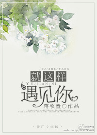 就这样遇见你 小说番外