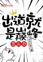 出道就是巅峰怎么办 小说