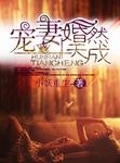 婚然天成贺子昱