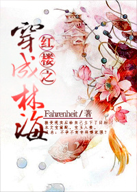 红楼之穿成林海TX下载