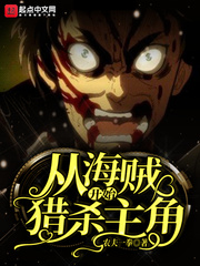 海贼从推进城开始卧底