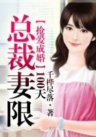 总裁抢妻夺爱