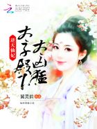 逆天太子妃小说