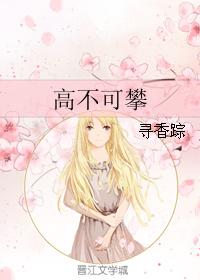 高不可攀形容