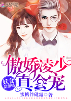 妖妻甜甜哒,傲娇凌少真会宠